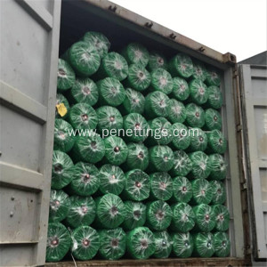 Green Color PP Material Plant Support Net